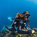 Płetwy Scubapro SEAWING NOVA