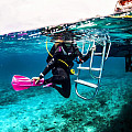 Płetwy Scubapro SEAWING NOVA